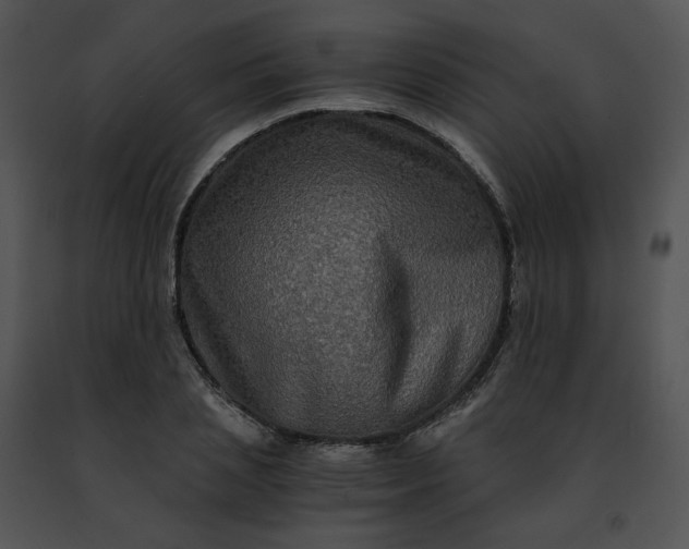 X0000091480837200708301913