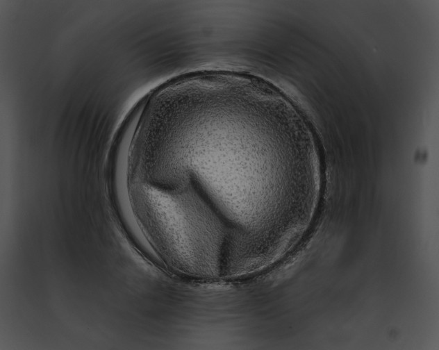 X0000091480838200708301913