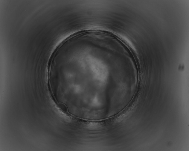 X0000091480839200708301913