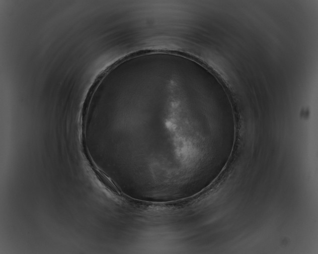 X0000091480840200708301913