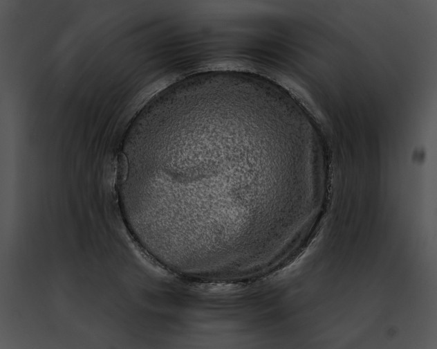 X0000091480841200708301913