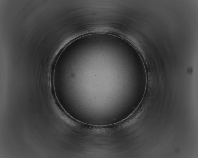 X0000091480843200708301913