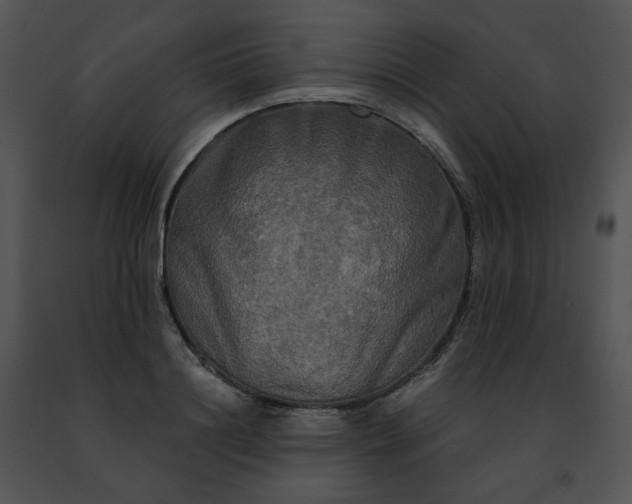 X0000091480844200708301913