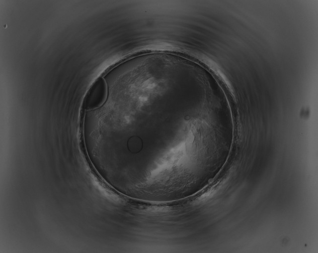 X0000091480845200708301913