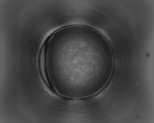 X0000091480846200708301913