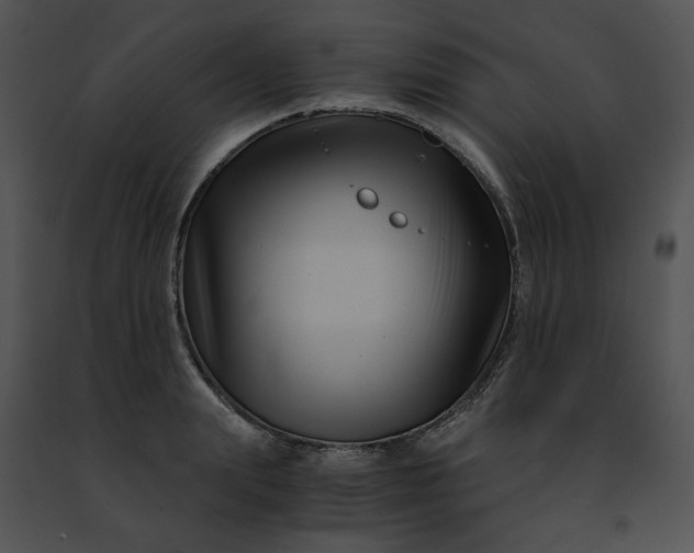 X0000091480847200708301913