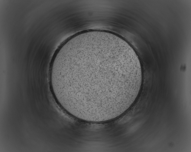 X0000091480848200708301913