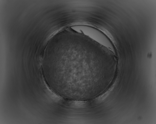 X0000091480849200708301913