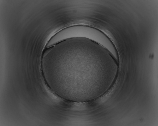 X0000091480850200708301913