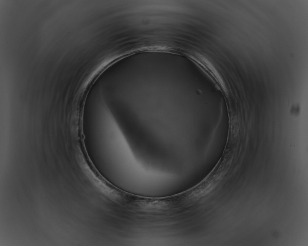 X0000091480851200708301913