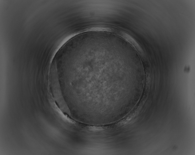 X0000091480852200708301913