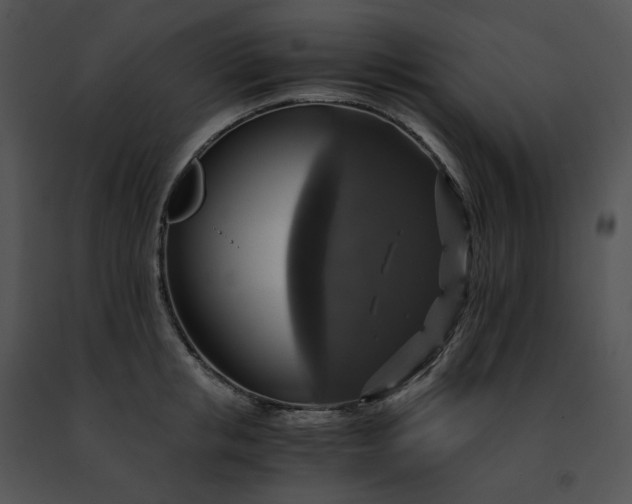 X0000091480853200708301913