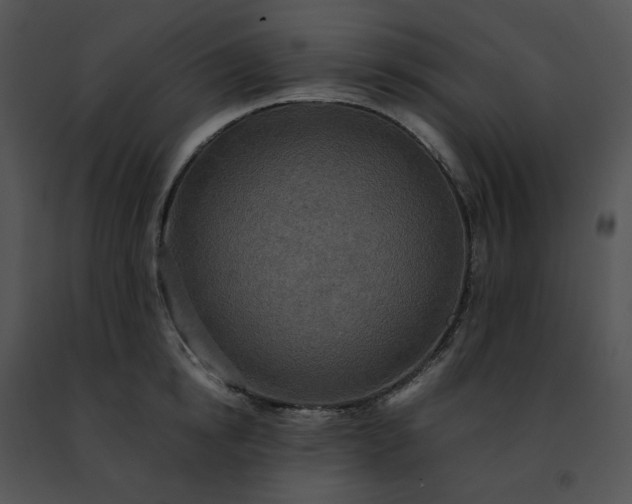 X0000091480854200708301913