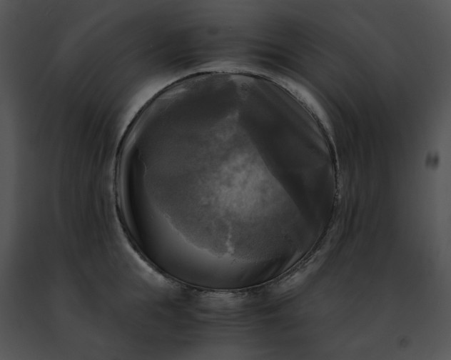 X0000091480855200708301913