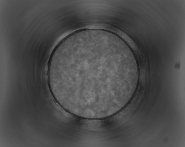 X0000091480856200708301913