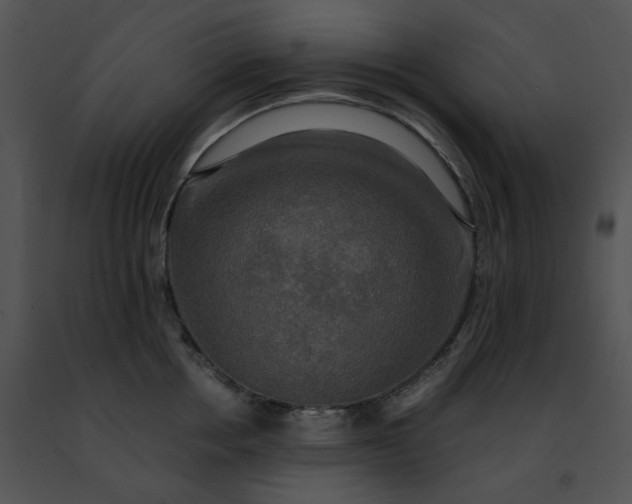 X0000091480858200708301913