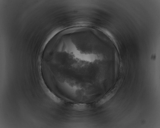 X0000091480859200708301913