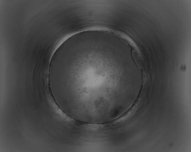 X0000091480860200708301913