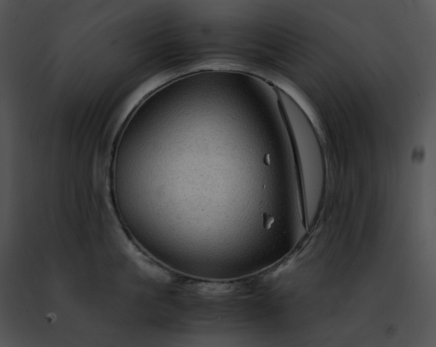 X0000091480861200708301913