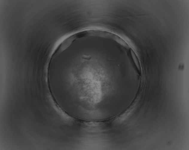 X0000091480862200708301913