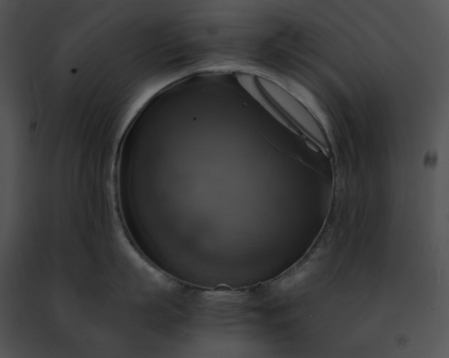 X0000091480863200708301913