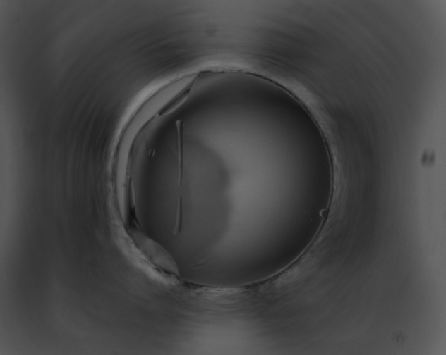 X0000091480864200708301913