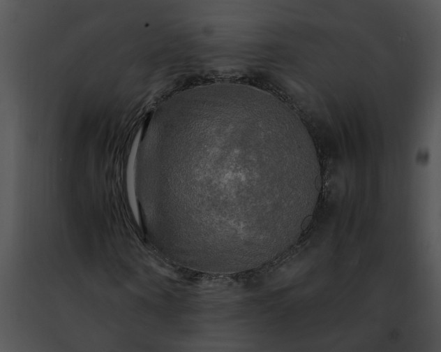 X0000091480866200708301912