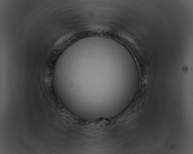 X0000091480869200708301912