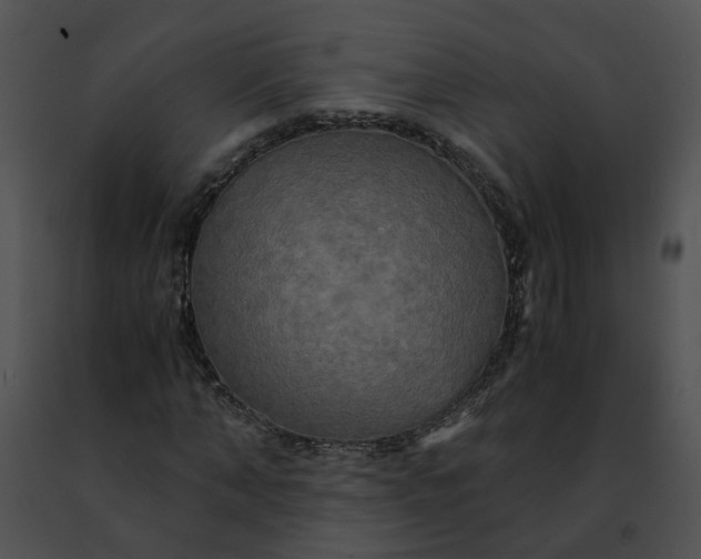 X0000091480870200708301912