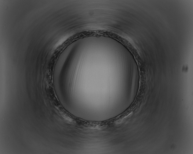 X0000091480871200708301912