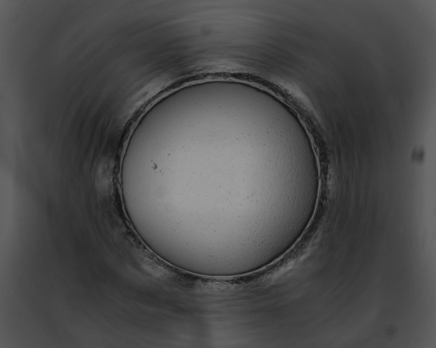 X0000091480873200708301912