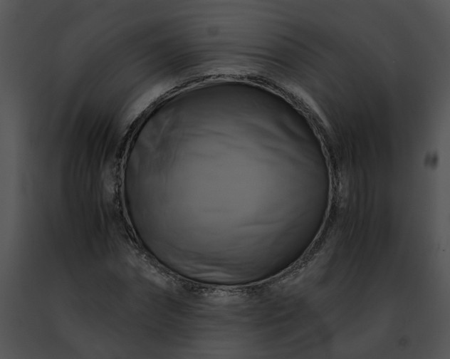 X0000091480874200708301912