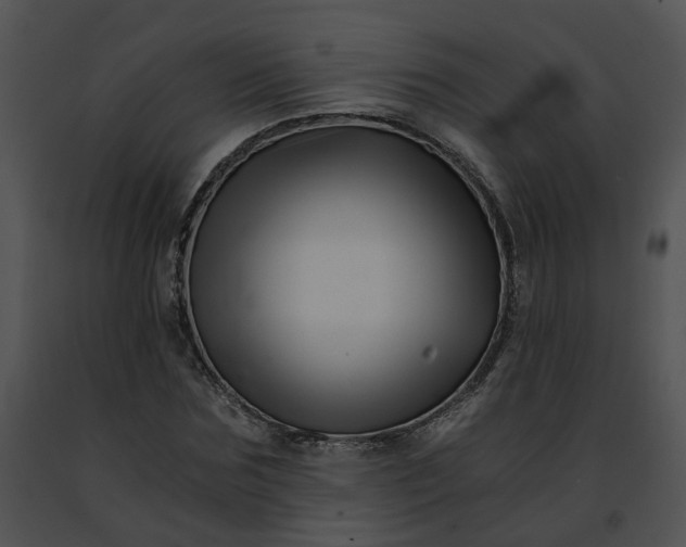 X0000091480875200708301912