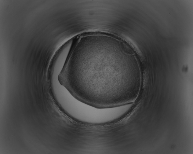 X0000091480876200708301912