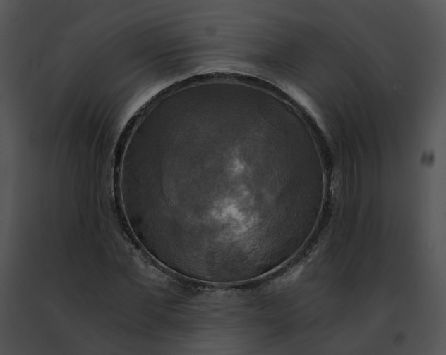 X0000091480877200708301912