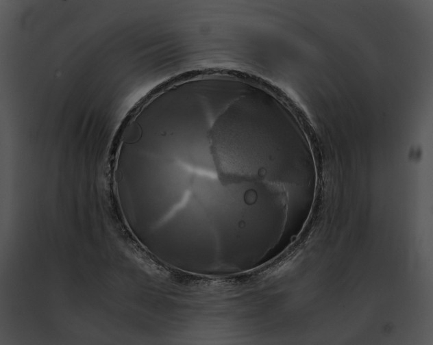 X0000091480879200708301912