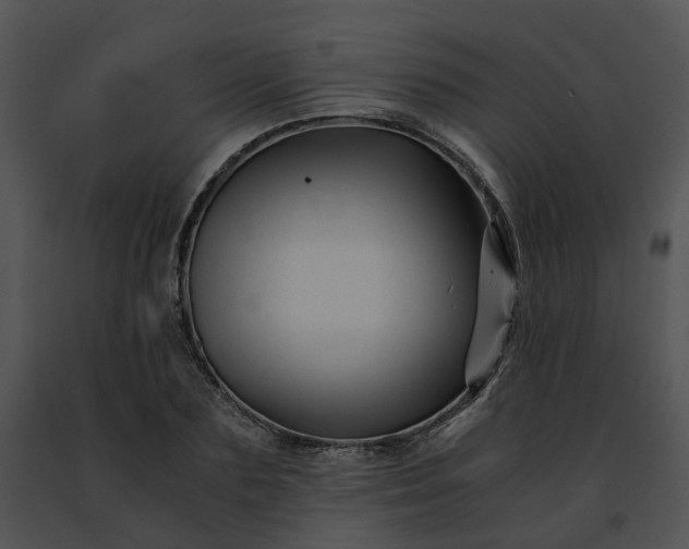 X0000091480883200708301912