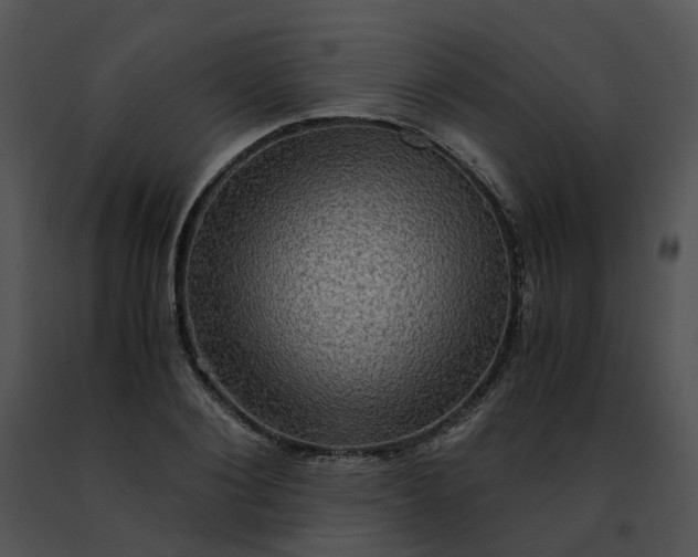 X0000091480884200708301912