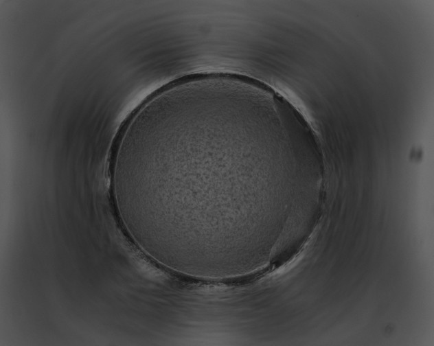 X0000091480885200708301912