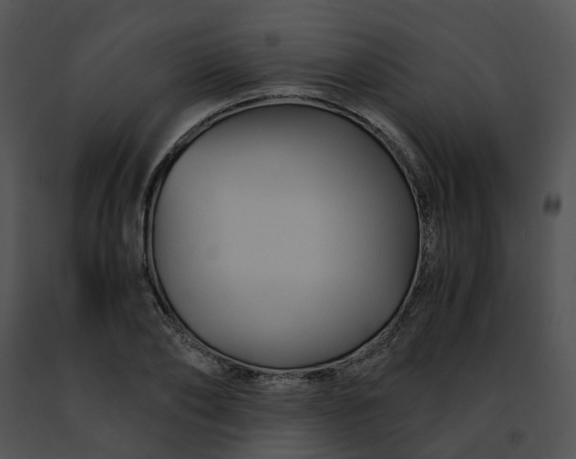 X0000091480886200708301912