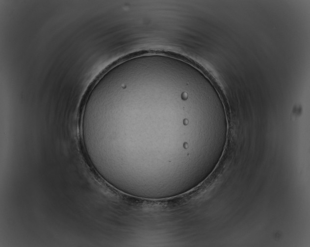 X0000091480887200708301912