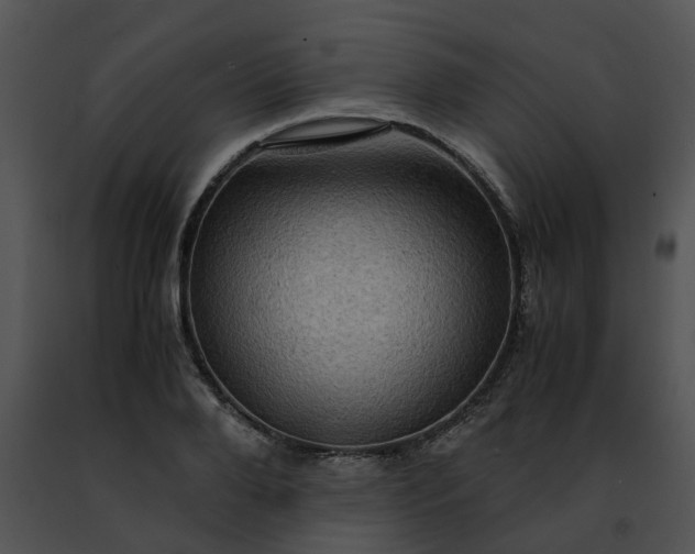 X0000091480888200708301912