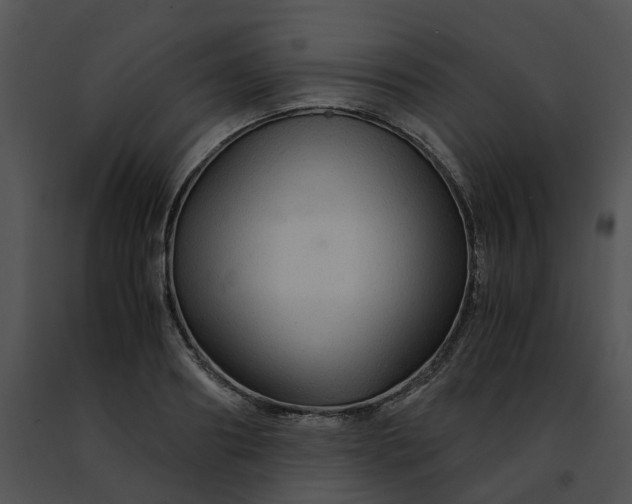 X0000091480890200708301912