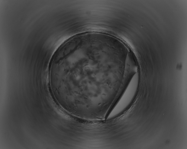 X0000091480891200708301912