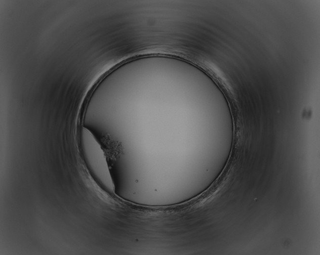 X0000091480892200708301912