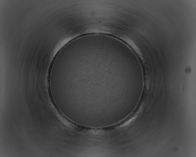 X0000091480893200708301912