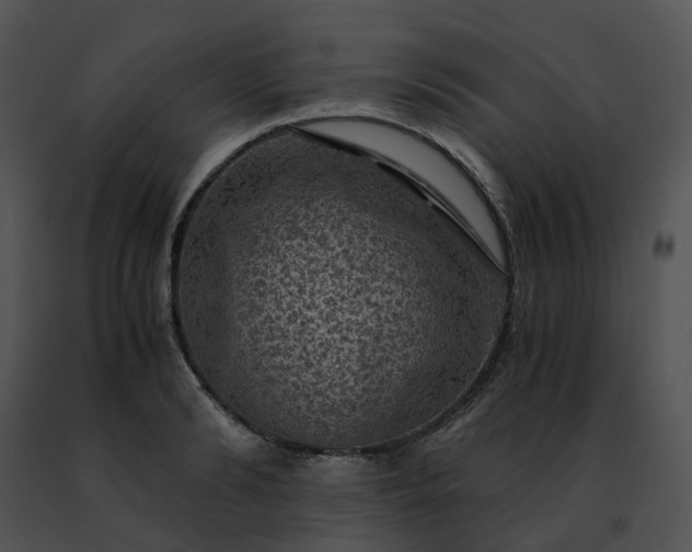 X0000091480894200708301912