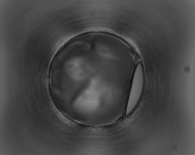 X0000091480895200708301912