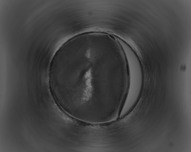 X0000091480896200708301912