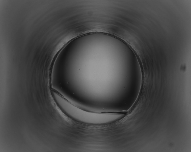 X0000091480898200708301912